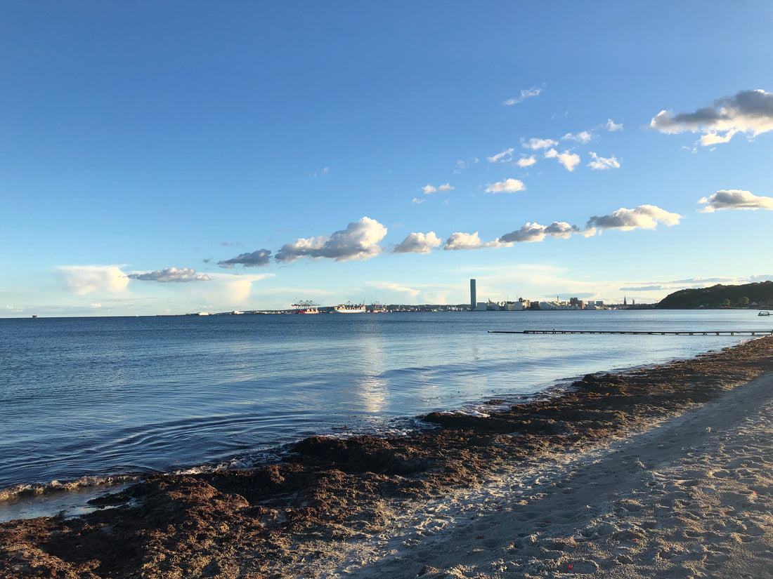 Where City Meets Nature Living in Aarhus