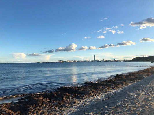 Where City Meets Nature Living in Aarhus