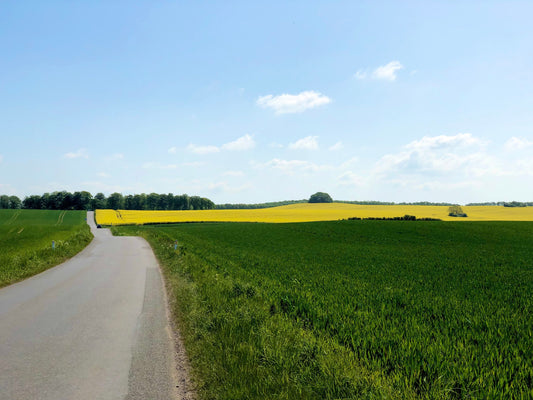 Aarhus — Landscape as Quiet Material