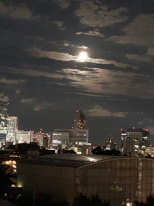 Tokyo / Aarhus — Two Kinds of Silence