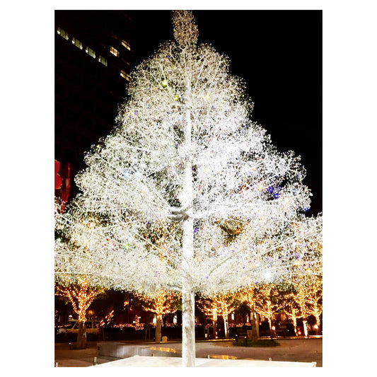 How Christmas Feels in Japan — Quiet, Gentle, and a Little Bit Warm